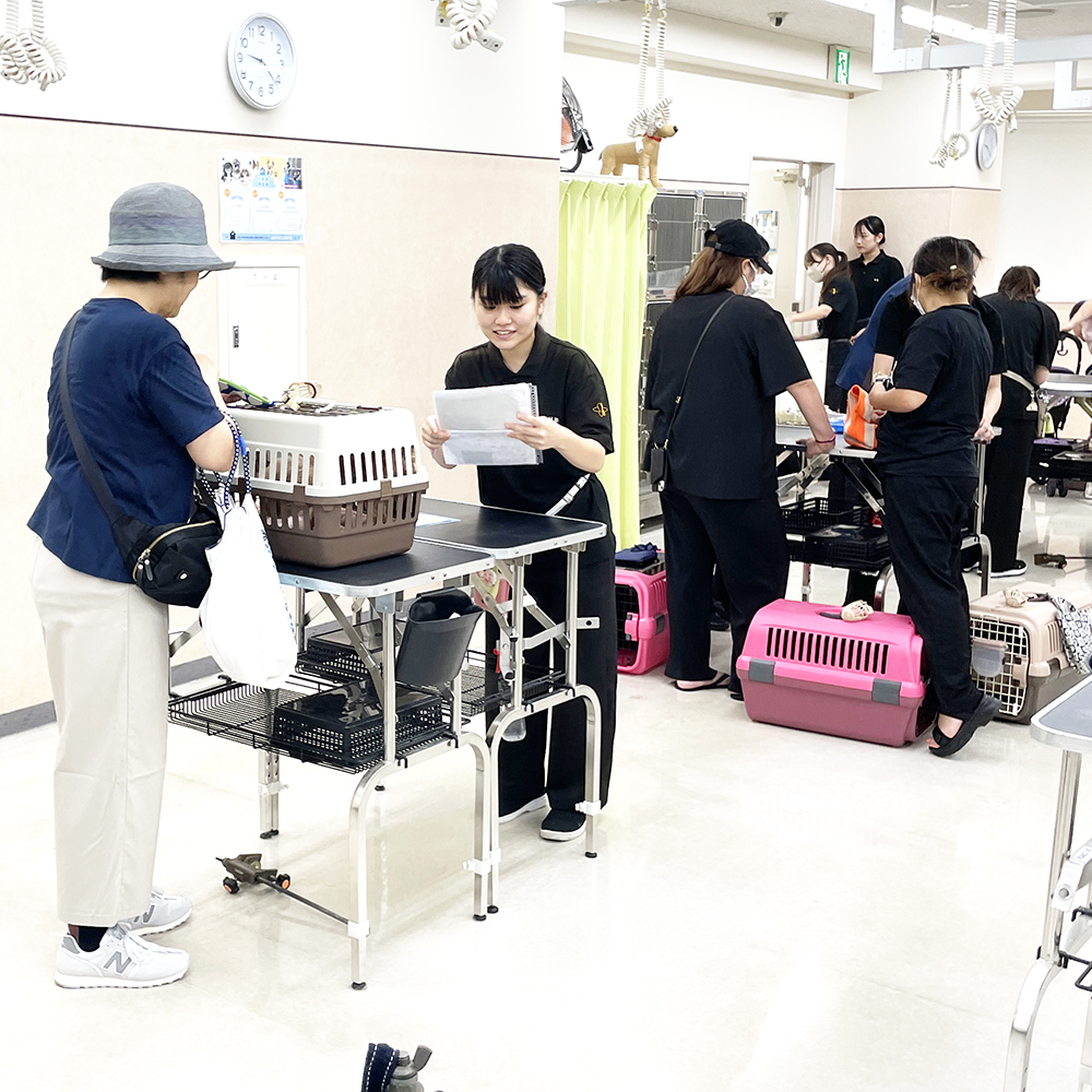 トリミングのお客様の接客実習♪